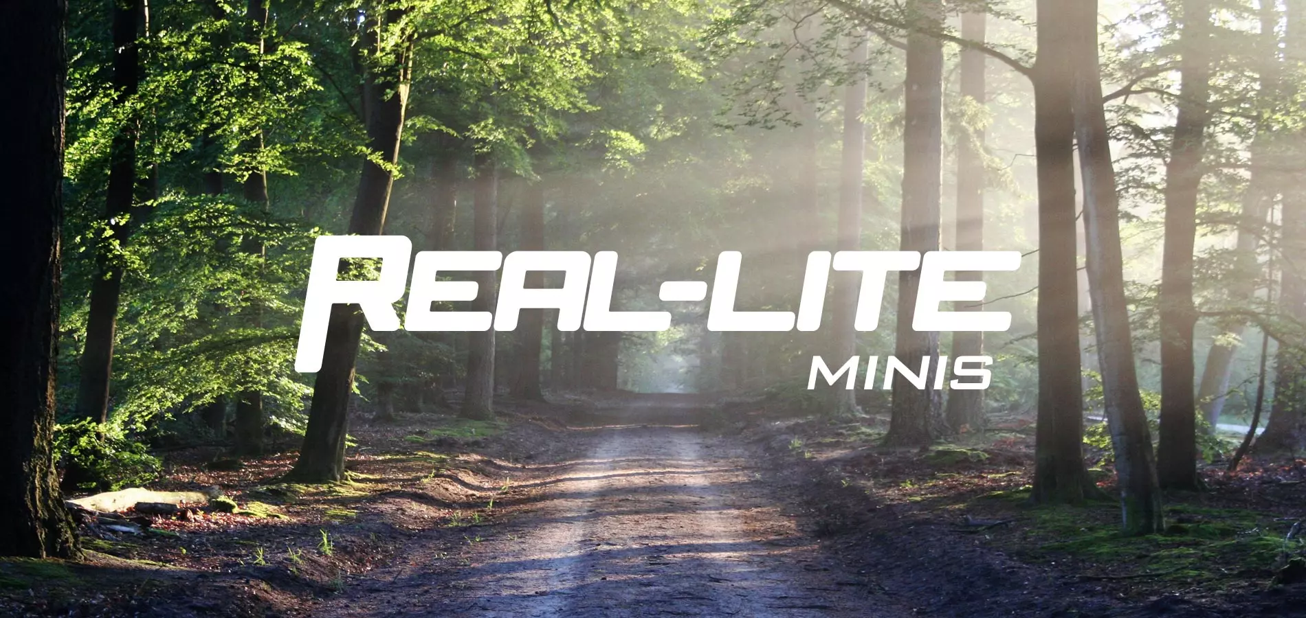 Real-Lite Mini (Dealer Stock Only) RVs